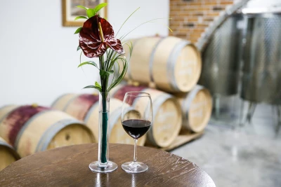 Изба и лозя