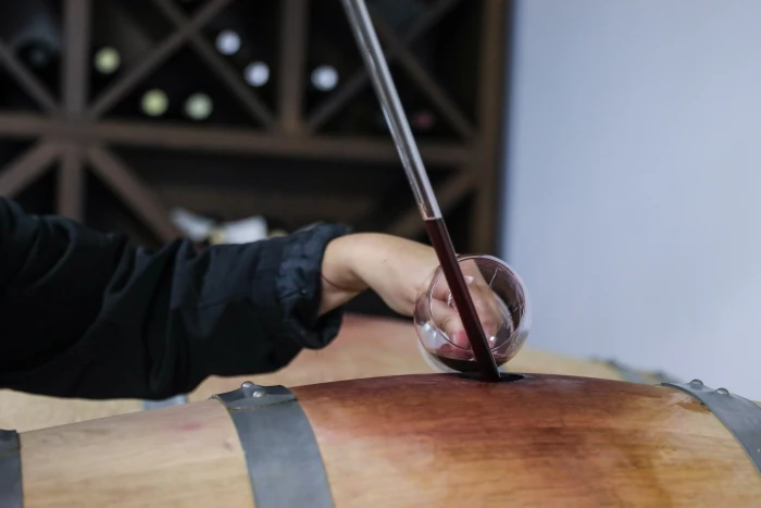 ДЕГУСТАЦИЯ НА ВИНА